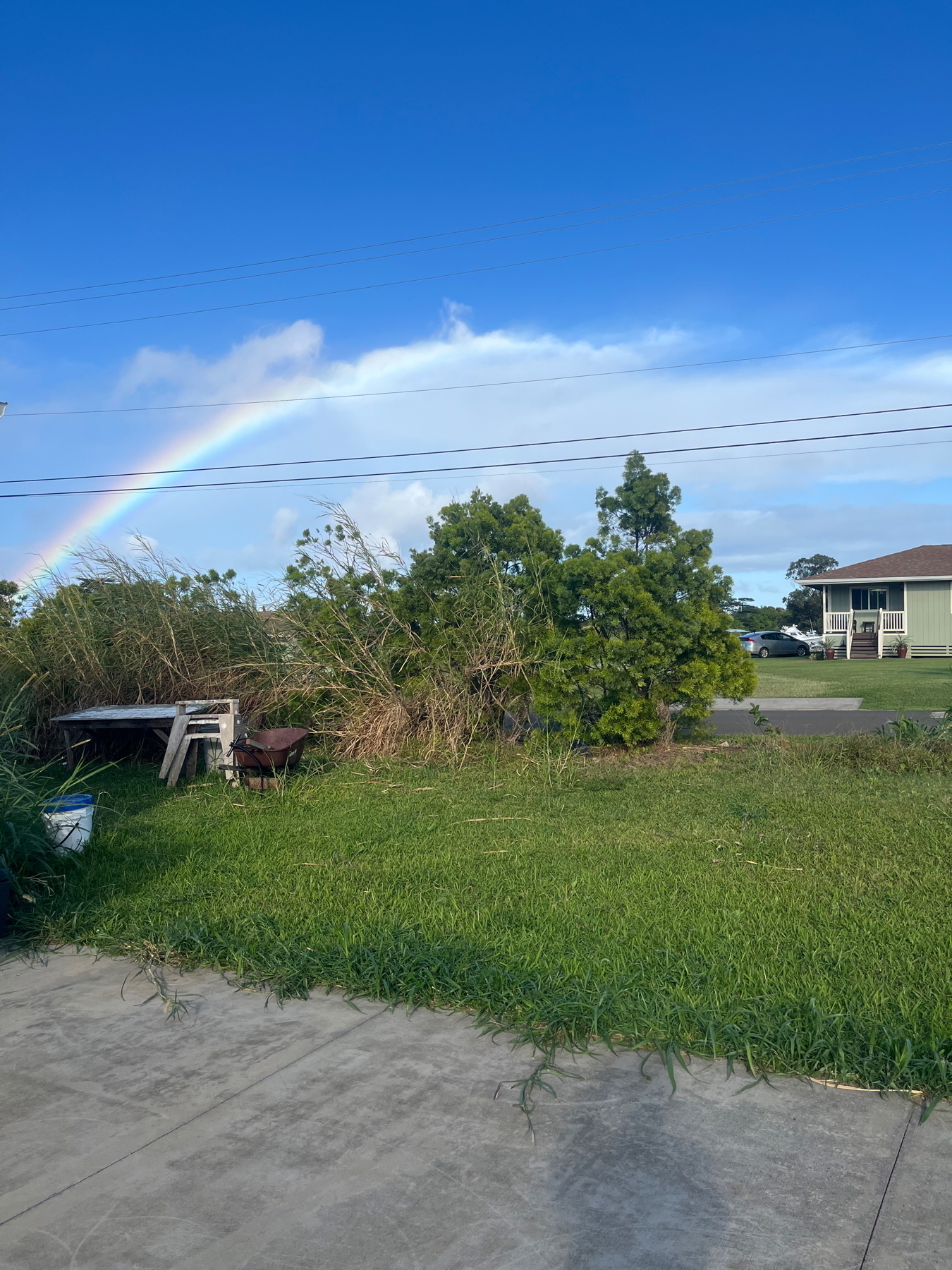 A vibrant rainbow arcs over a suburban scene with green grass, trees, and a house under a bright blue sky.