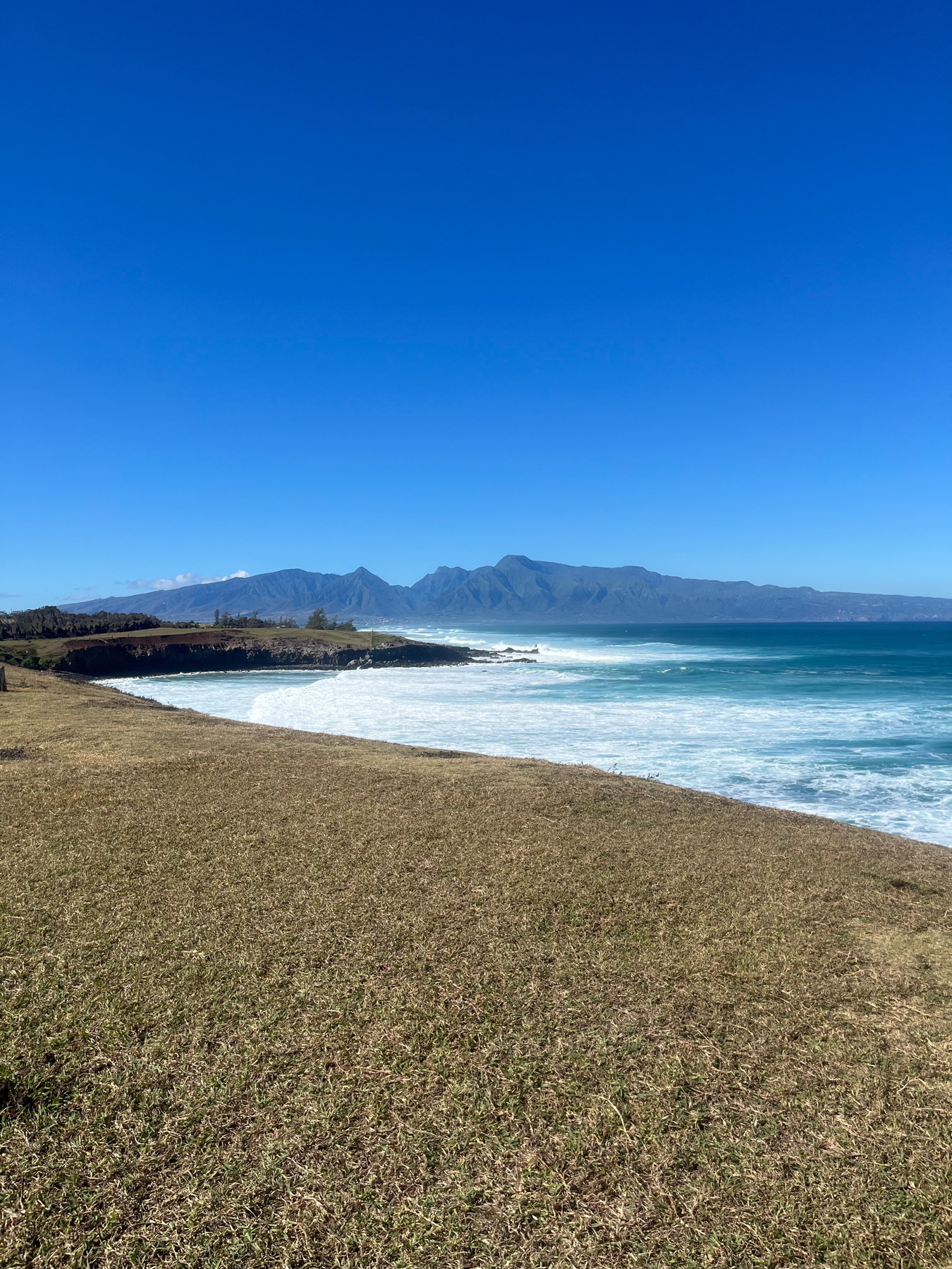 A vast ocean under a clear blue sky is bordered by a grassy shoreline with mountains in the background.