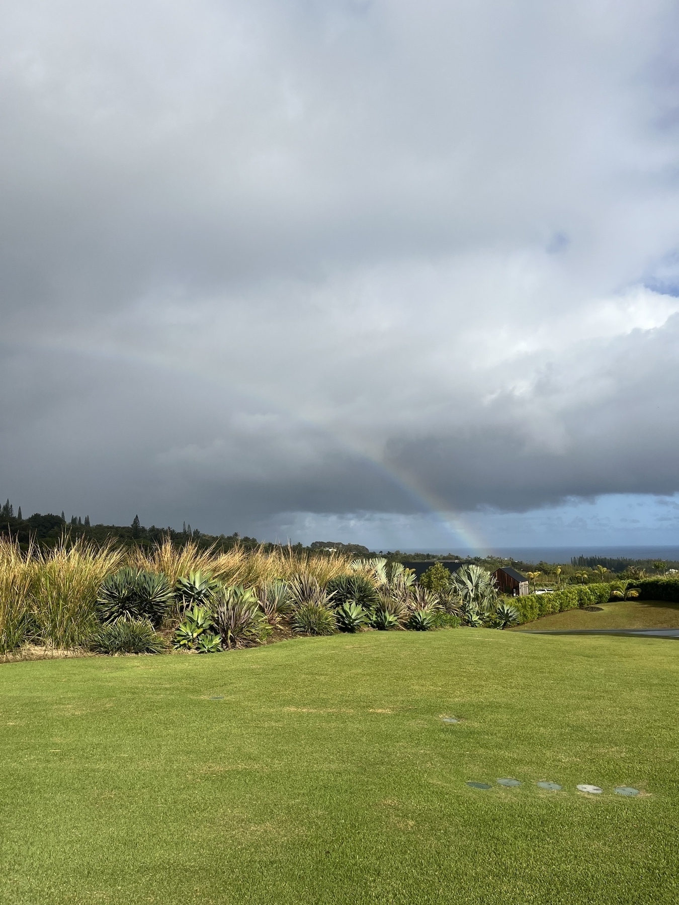 A lush green landscape is set under a cloudy sky with a faint rainbow in the distance.