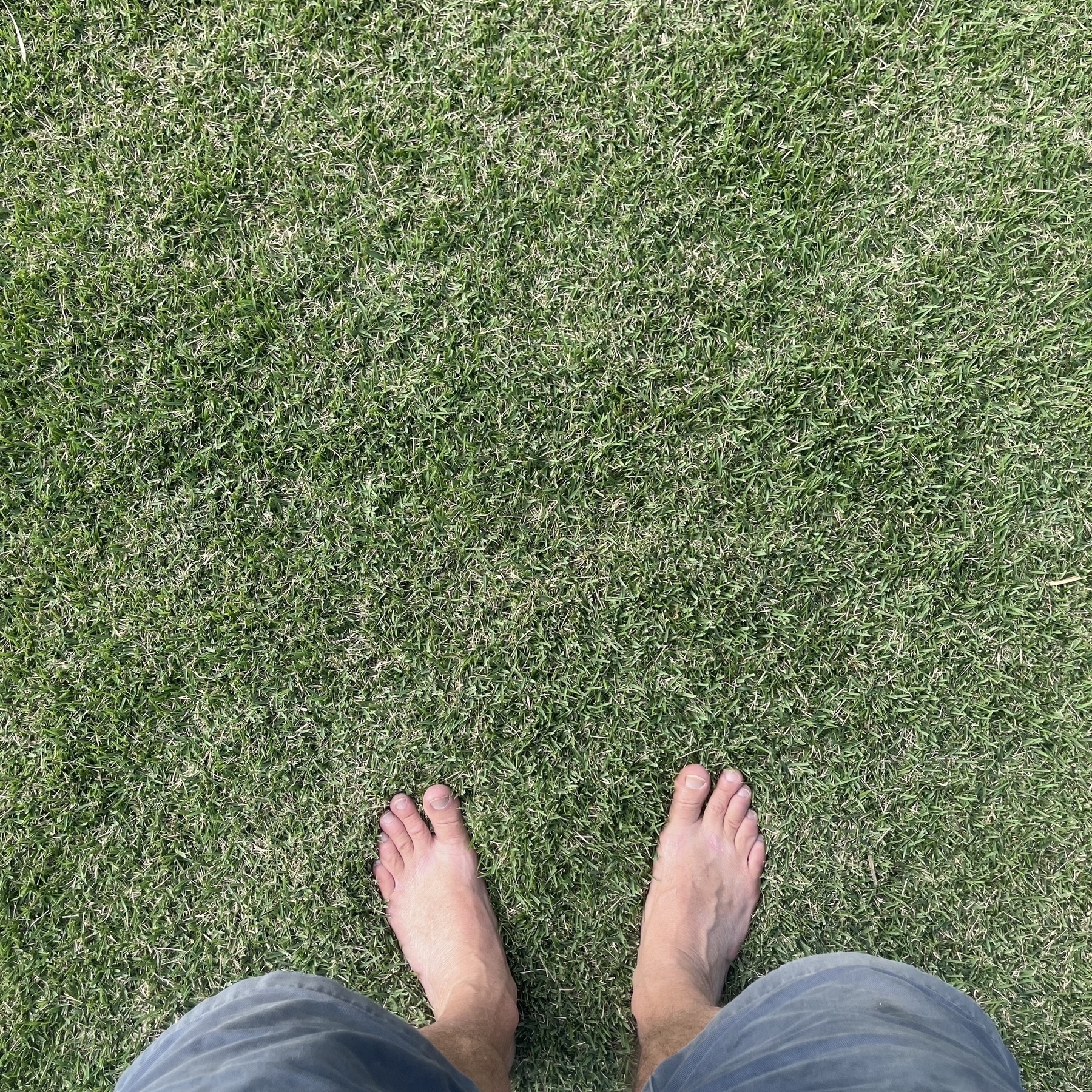 The author’s bare feet, at the end of bare legs with blue shorts just visible, are standing on a patch of lush green grass.