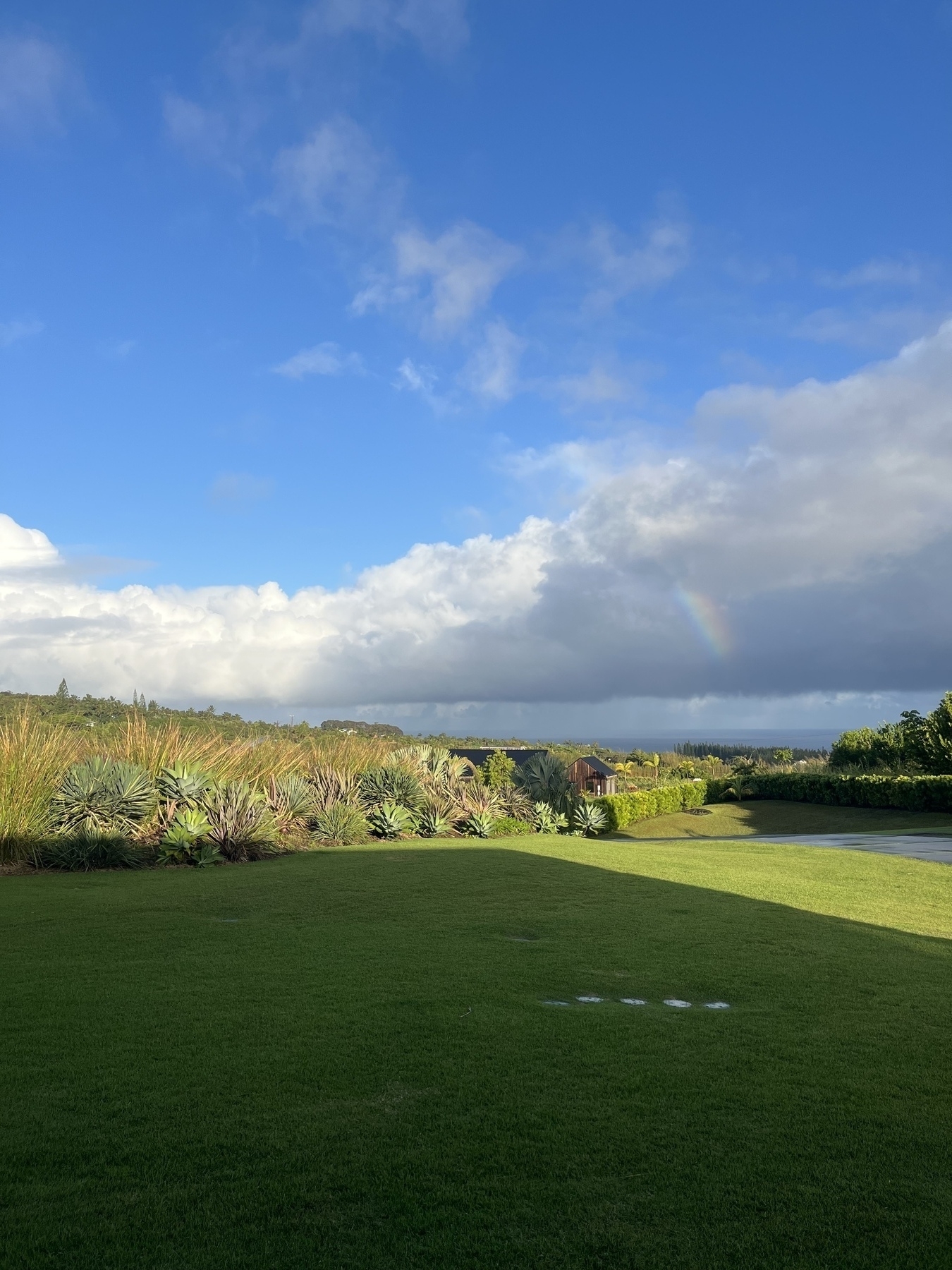 A lush green landscape is bathed in sunlight under a blue sky with scattered clouds and a faint rainbow in the distance in the midst of cloud over the ocean.