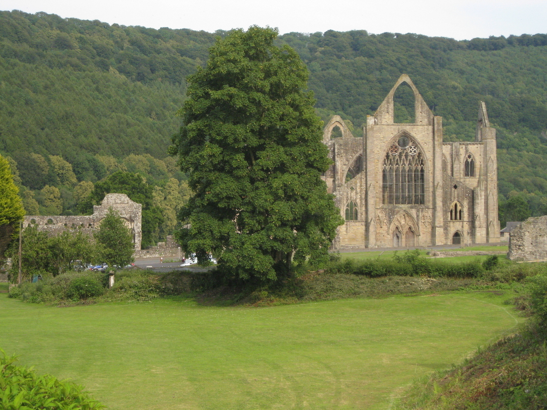 The ruins of Tintern Abbey in South Wales seen from a distance. Standing amidst a lush green landscape with a tree in the foreground and a wooded hill in the background. To the left a parking lot is just visible.