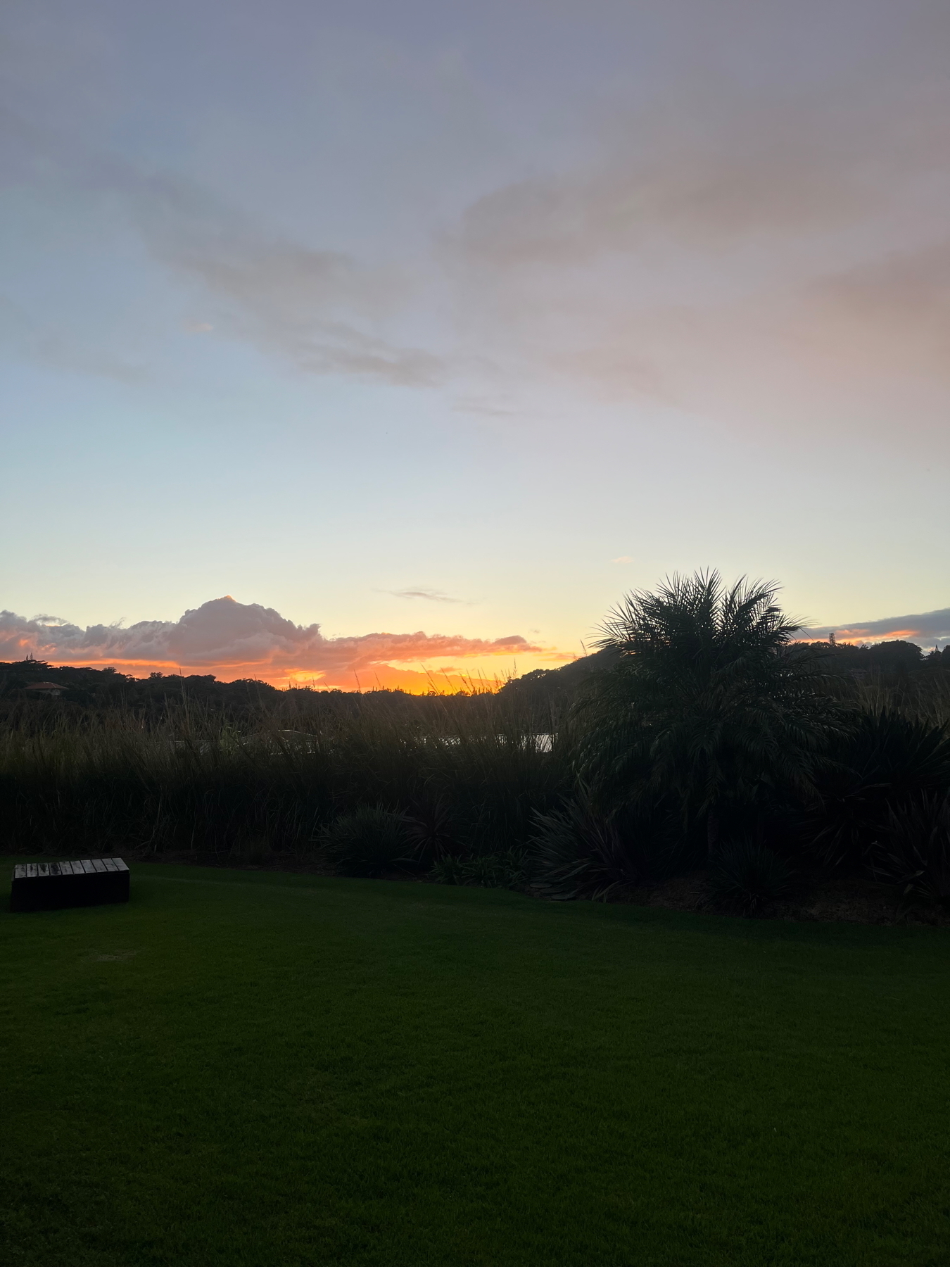 Sunset over a grassy field with silhouettes of shrubs and trees. The sky is a mix of soft blues and warm oranges.