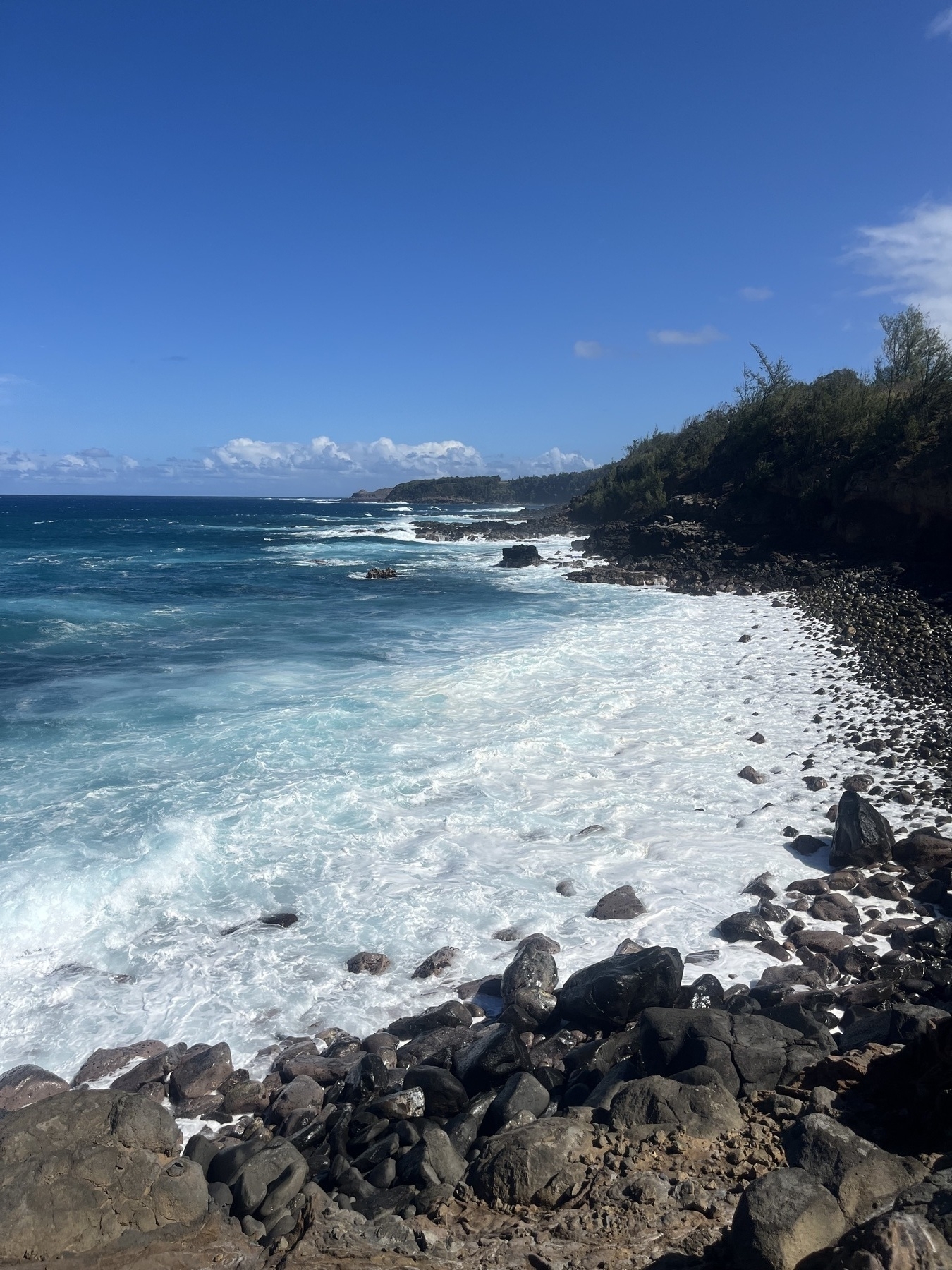 A rocky shoreline is bordered by crashing waves under a clear blue sky. Cliffs with trees on reach down to the ocean.