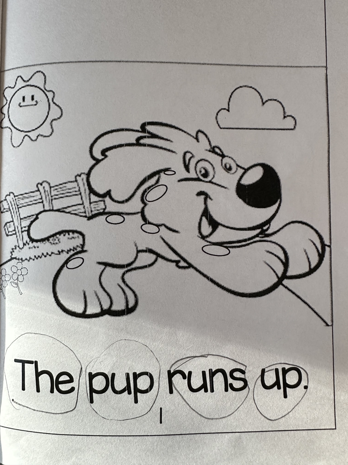 The pup runs page 1