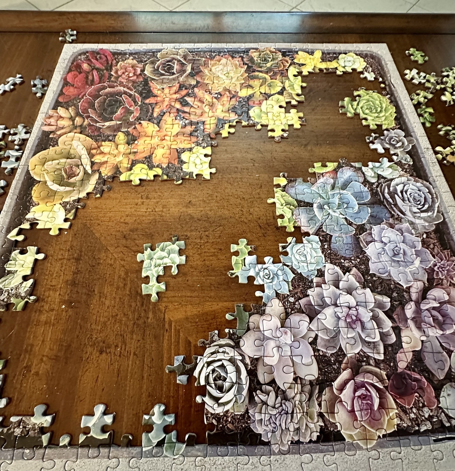 Photo of “succulents” puzzle progress
