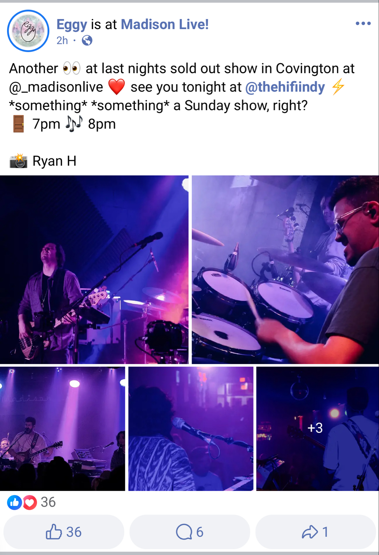 The image displays a collage of photos from a live concert by the band Eggy. The top left photo shows a bass guitarist playing on stage. The top right reveals a drummer in mid-performance. The bottom picture features a view of the lead singer and