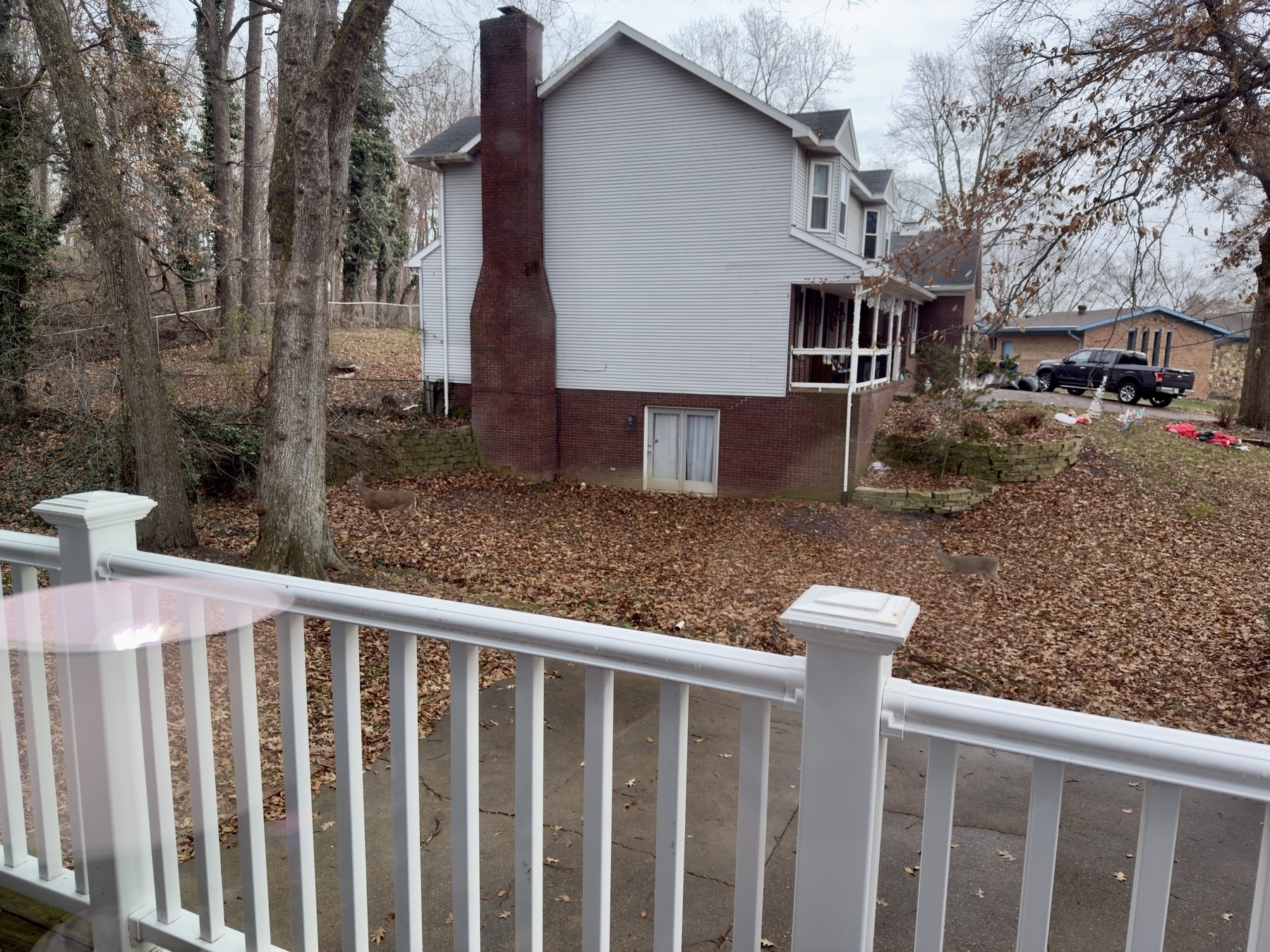 Two deer walking through leaves in front of house 