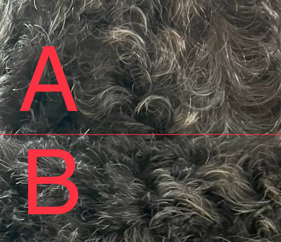 Close-up of curly, dark fur with sections labeled A and B.