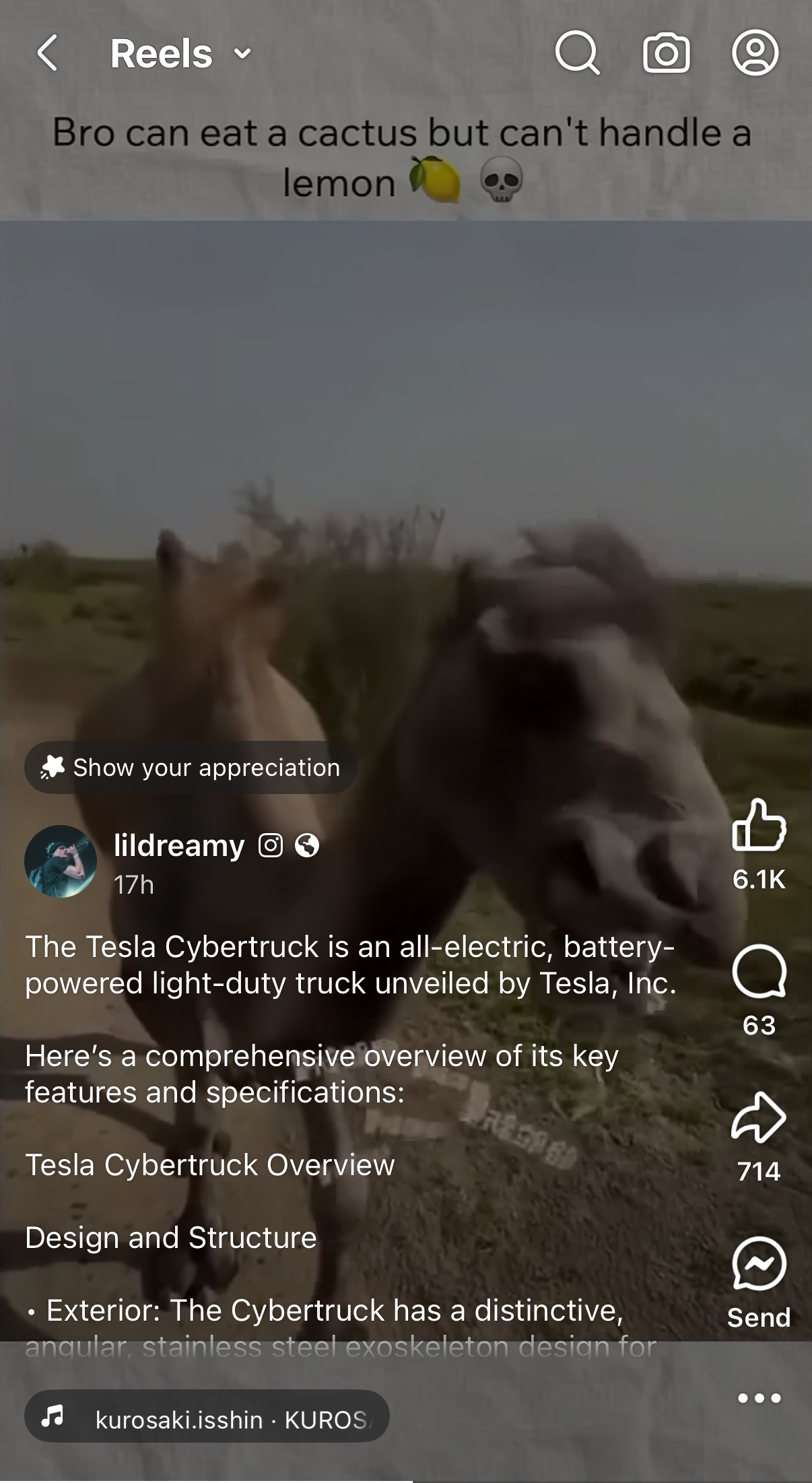 Two camels are in the background of a social media post about the Tesla Cybertruck, with text humorously comparing their dietary tolerance.