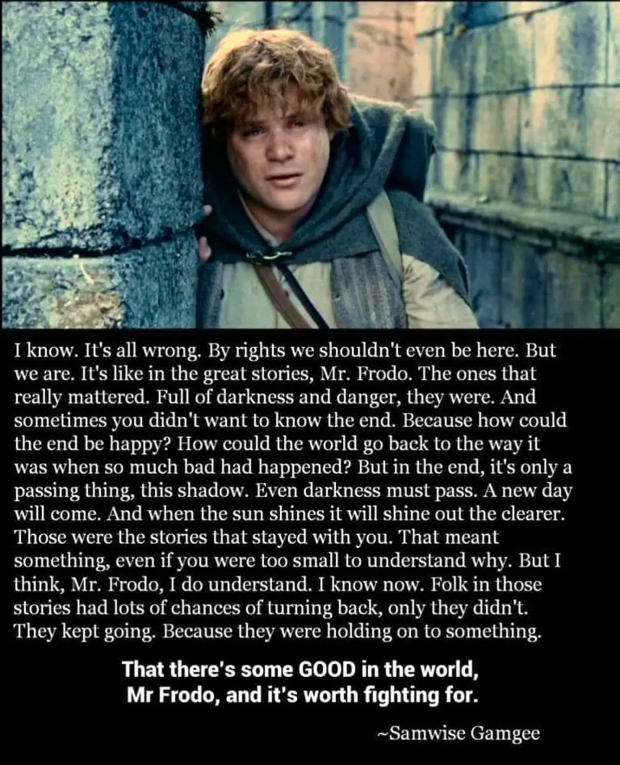 A quote from Samwise Gamgee appears next to an image of him, expressing hope and resilience in challenging times.