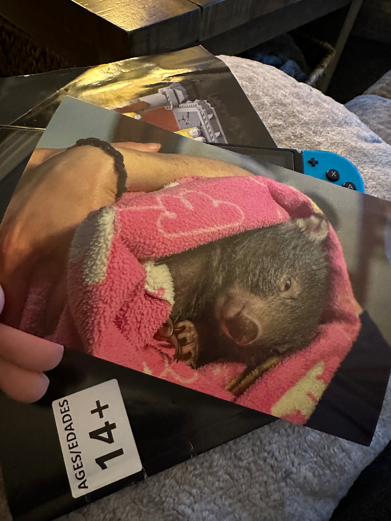 A photo of a wombat wrapped in a pink towel held in a person’s arm
