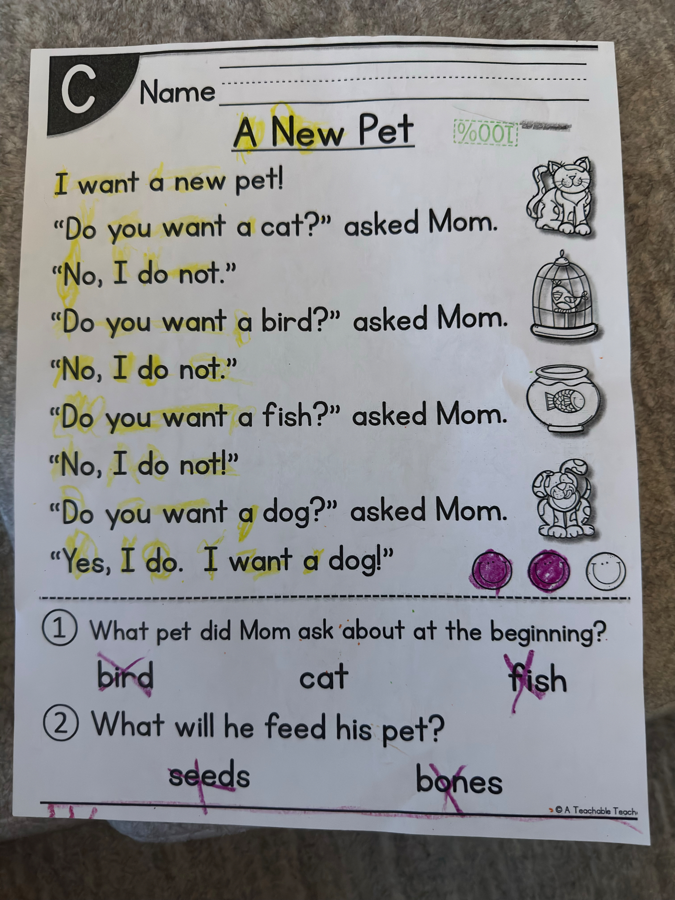 A child’s school worksheet titled “A New Pet” with a short story about choosing a pet and two multiple-choice questions at the bottom. The worksheet includes small illustrations of a cat, a bird in a cage, a fishbowl, and a