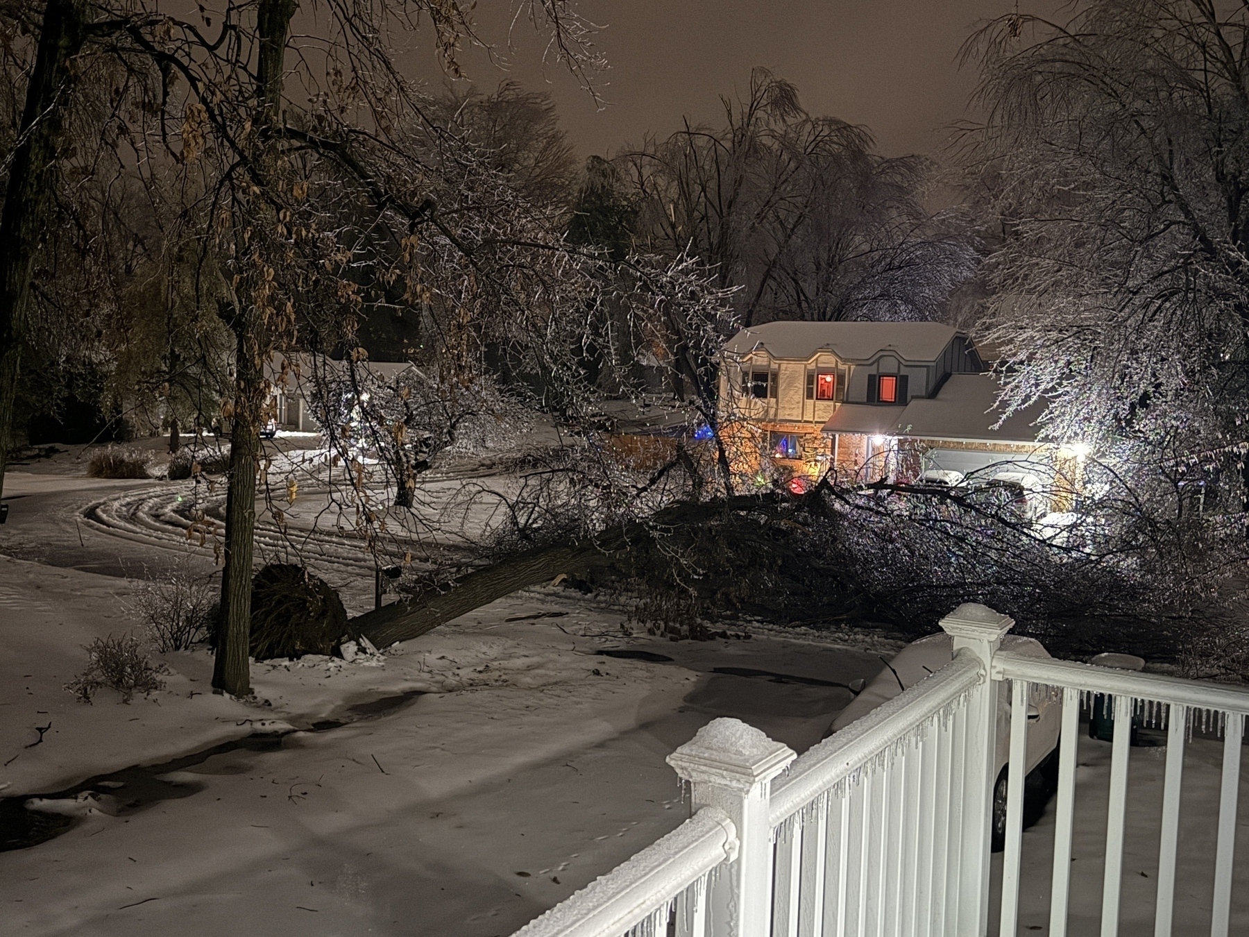 A snow-covered yard features a large fallen tree in front of a house illuminated by outdoor lights, with icy branches glistening in the night.