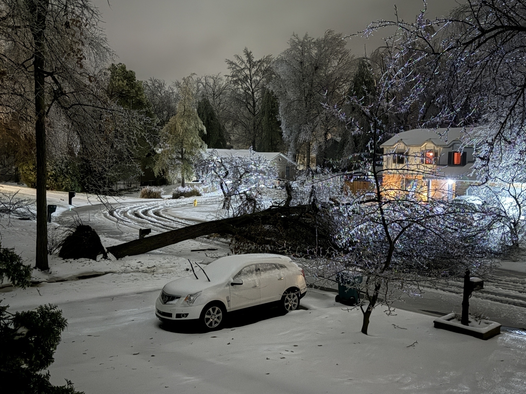 A snow-covered street features a fallen tree blocking the road, with a house and parked car partially coated in snow.