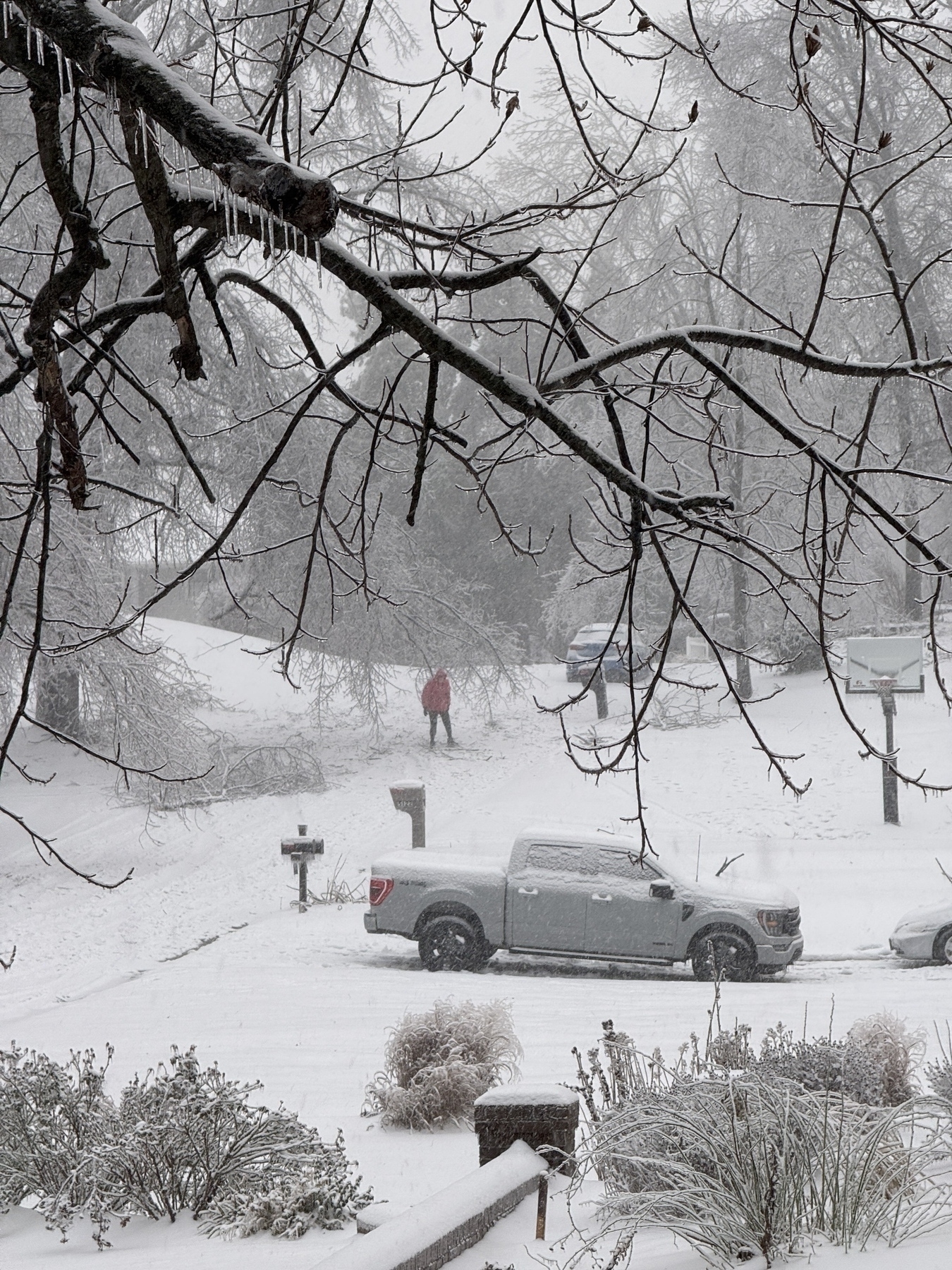 A snowy landscape with a person in red walking, vehicles, and trees covered in ice.