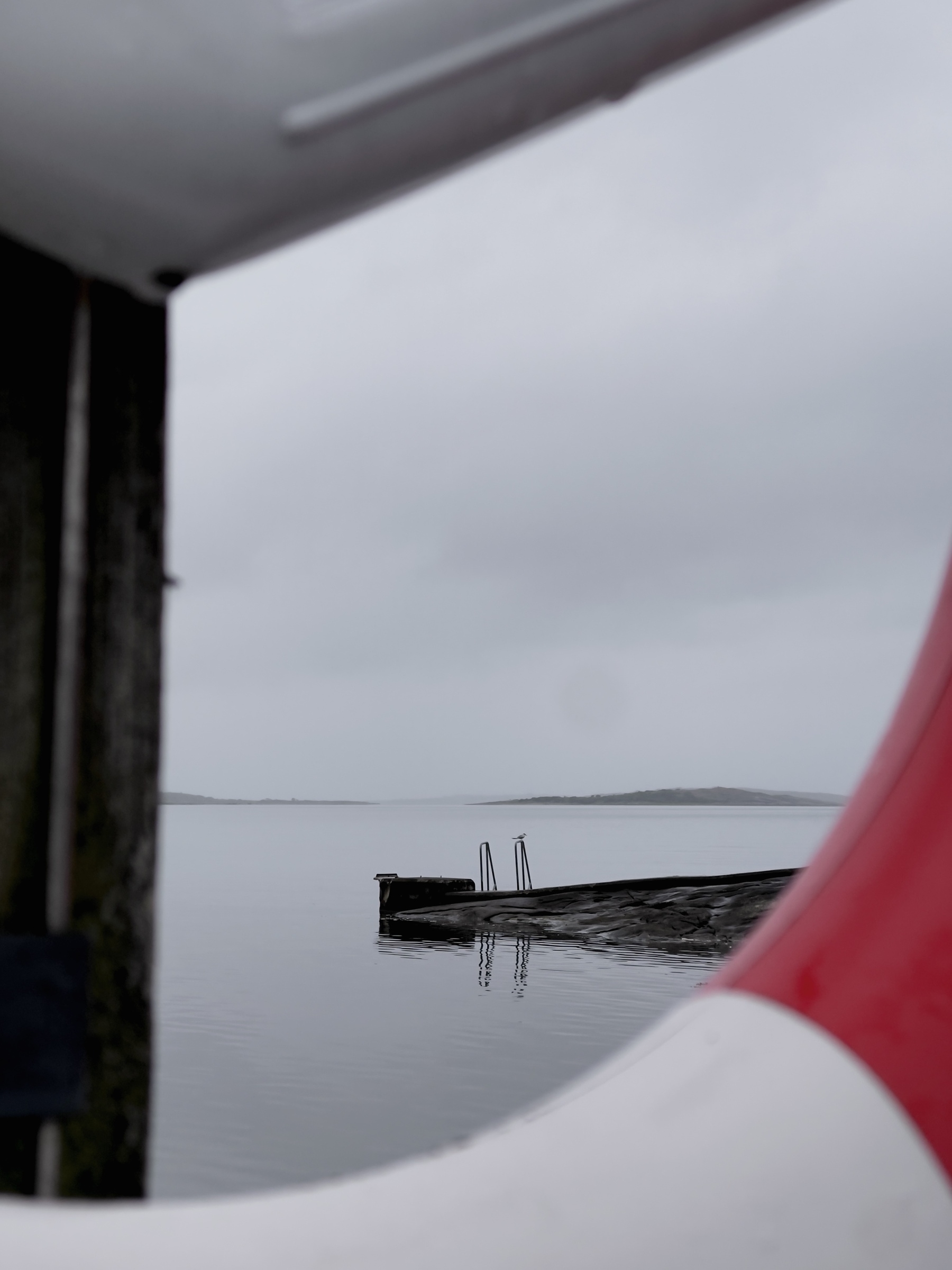 A serene view of a calm body of water with a dock featuring a ladder, framed by a lifebuoy.
