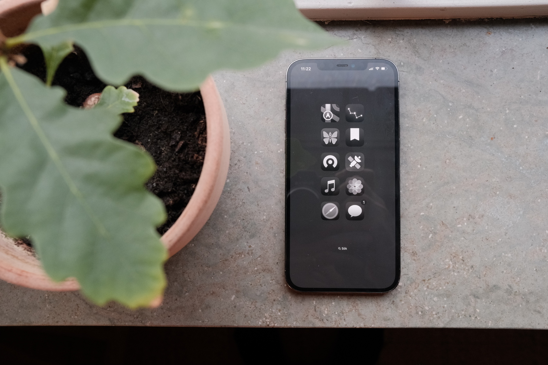 Auto-generated description: A smartphone with a monochrome home screen displaying various app icons lies on a gray surface next to a potted plant with large green leaves.