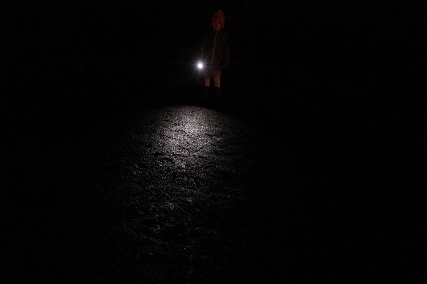 A person stands in the dark holding a flashlight, illuminating part of the ground.