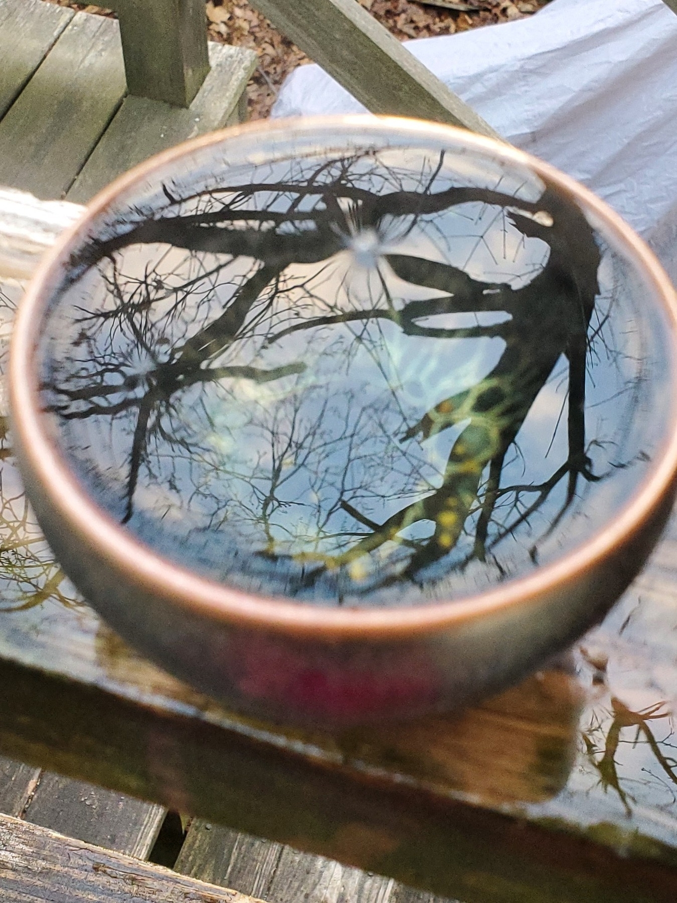 Tea in a cup with a winter tree reflected in the water.