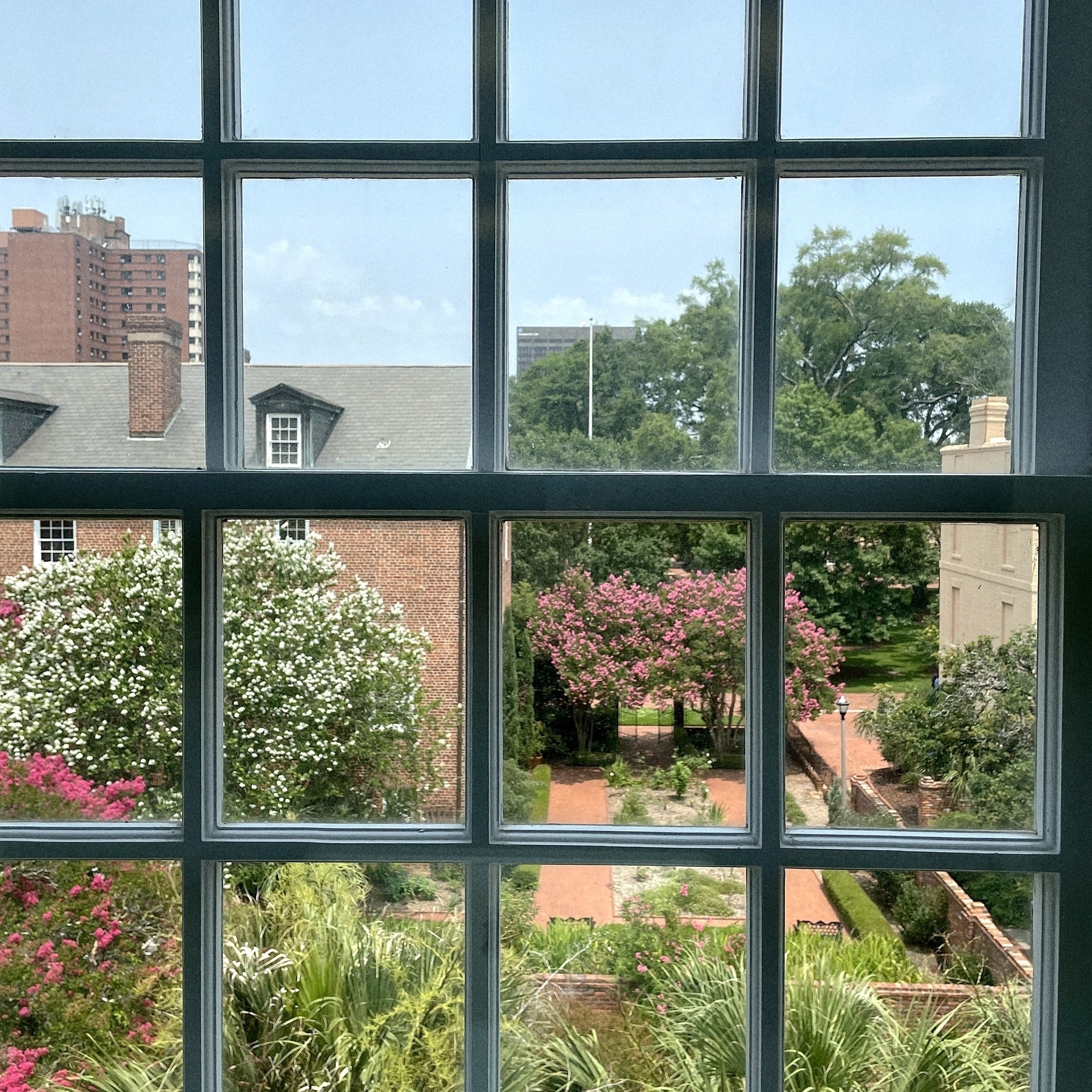 A view out a window of the rose garden at the University of South Carolina. 