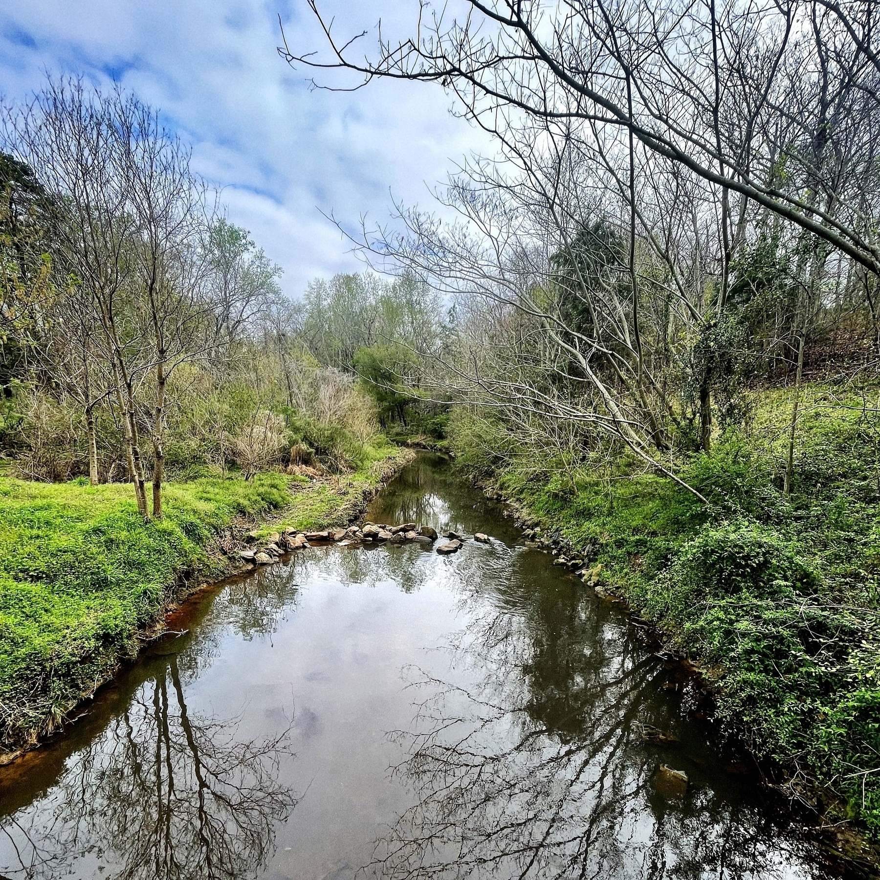 Image of a creek with trees reflected in the water. 