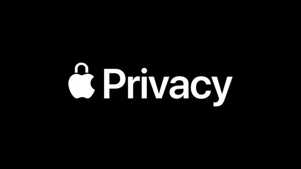Apple privacy-day privacy-logo