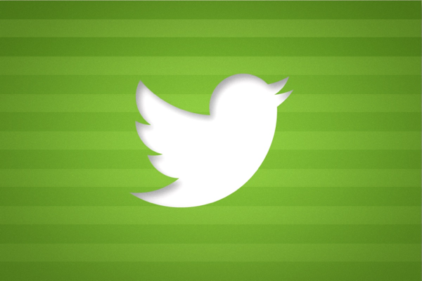 A white Twitter bird on a green striped background