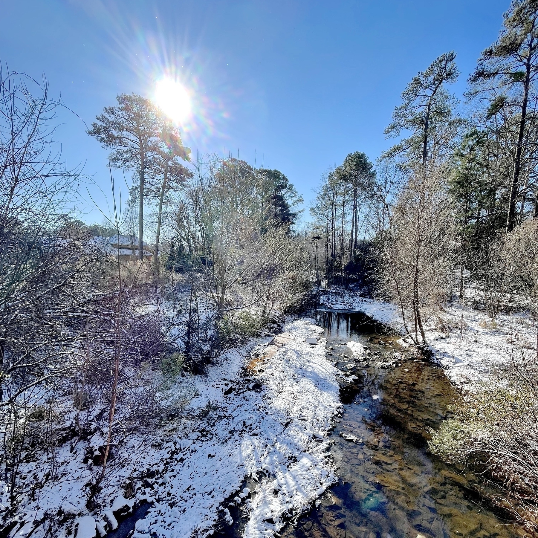 A snowy landscape features a creek flowing through a forest with trees under a bright, sunny sky.