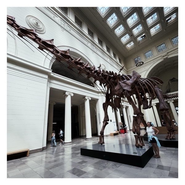 Maximo, the Titanosaurus.