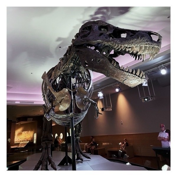 Sue, the T-rex