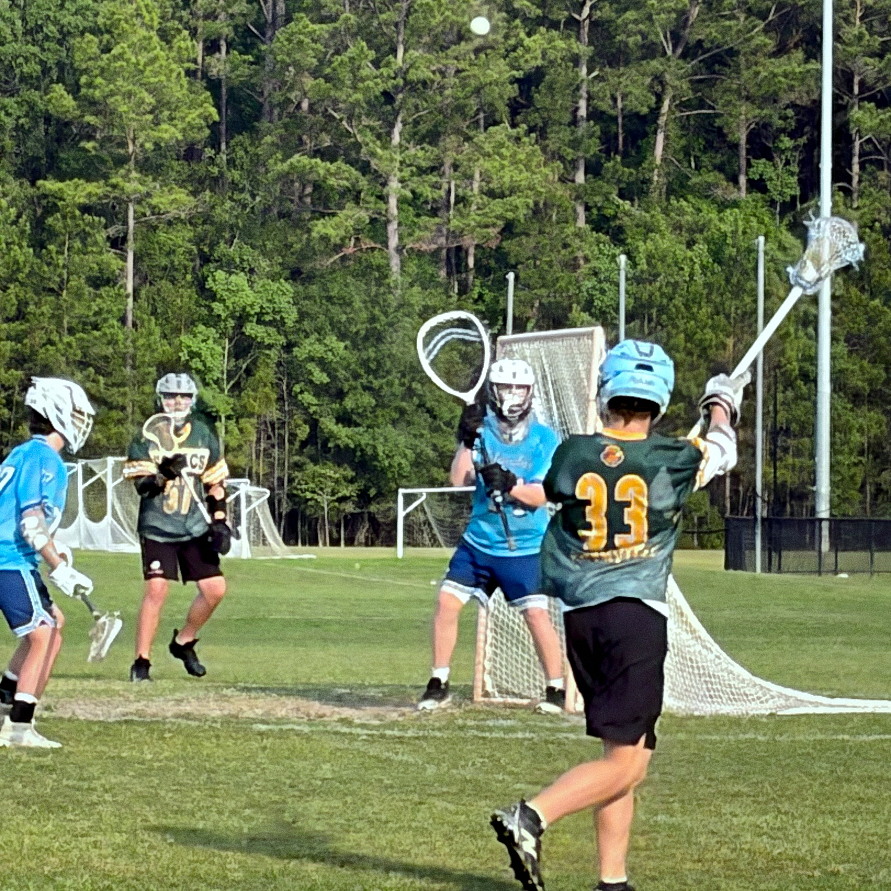 A group of players are actively engaged in a game of lacrosse on a grassy field surrounded by trees.