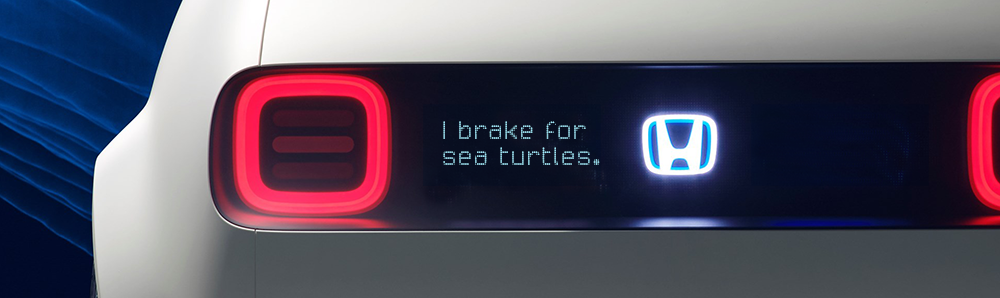 Urban_EV_sea_turtles.png