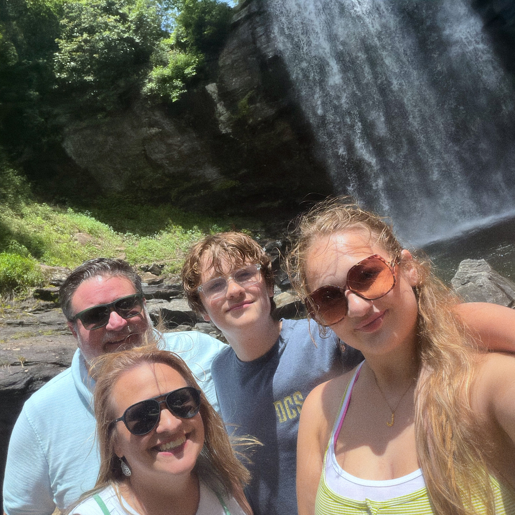 A group of four people wearing sunglasses is taking a selfie in front of a scenic waterfall.