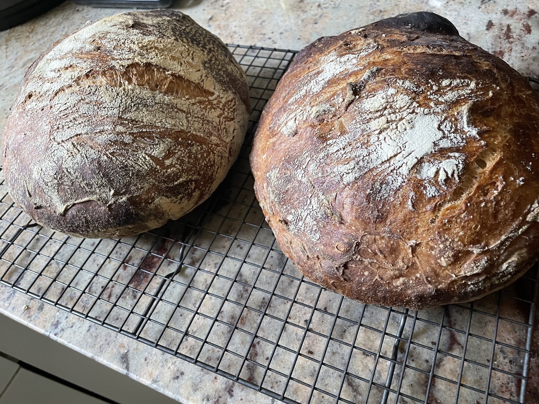 Two loves of homemade bread.