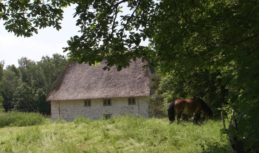 Old thatched farm with two Ardenner (cold blooded horses)