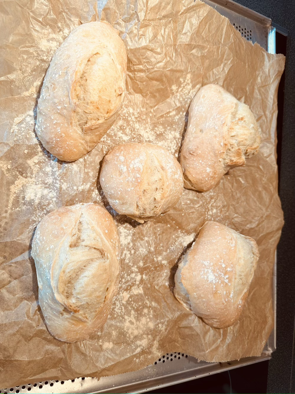 5 bread rolls fresh from the oven, fairly blond