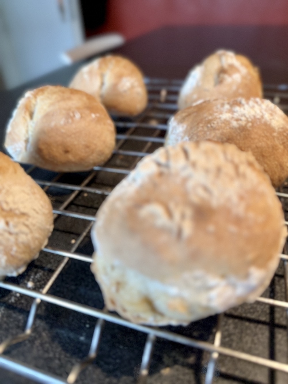 6 nice bread rolls, lightly floured 
