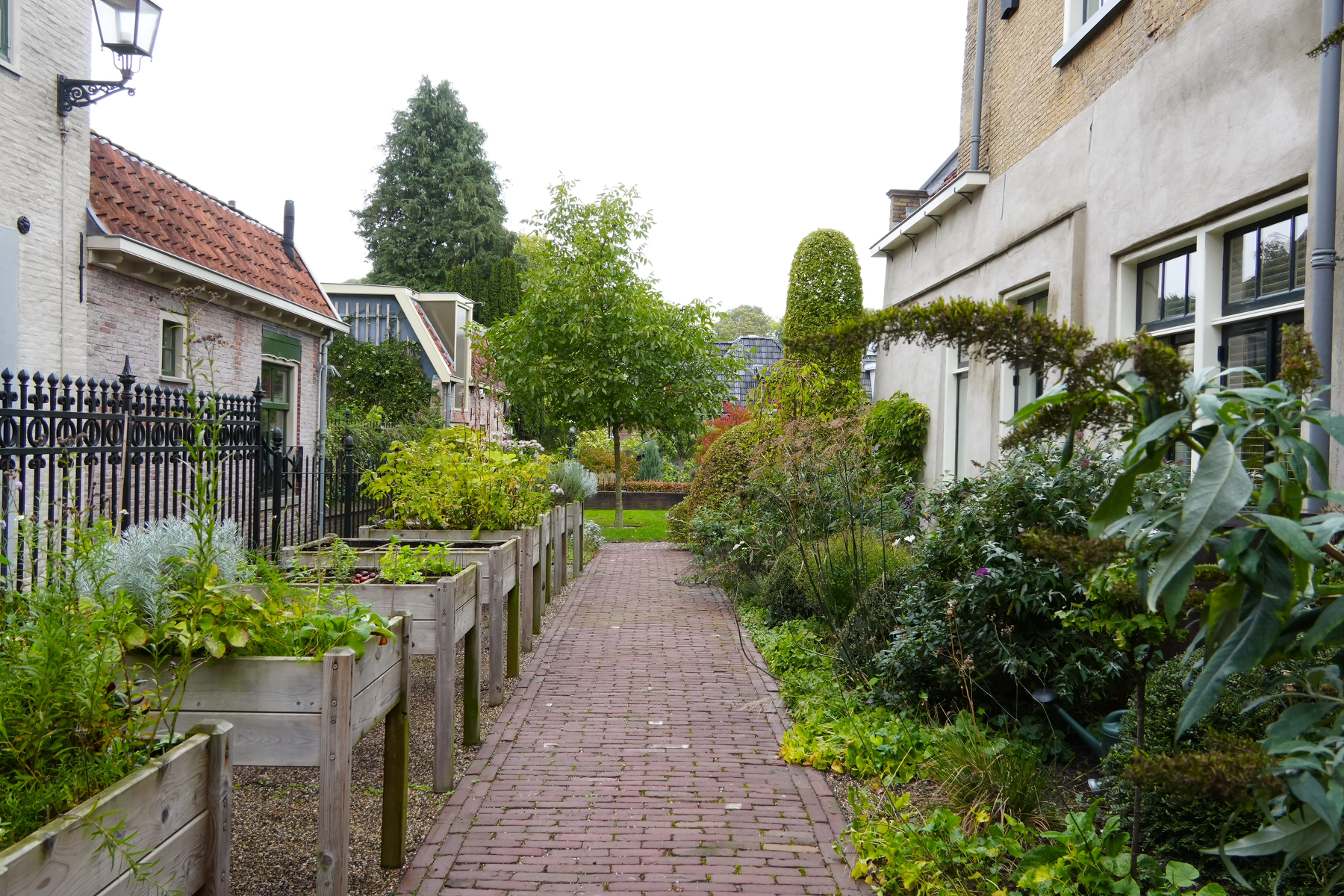 A narrow garden path lined with raised garden beds and various plants runs between residential buildings.
