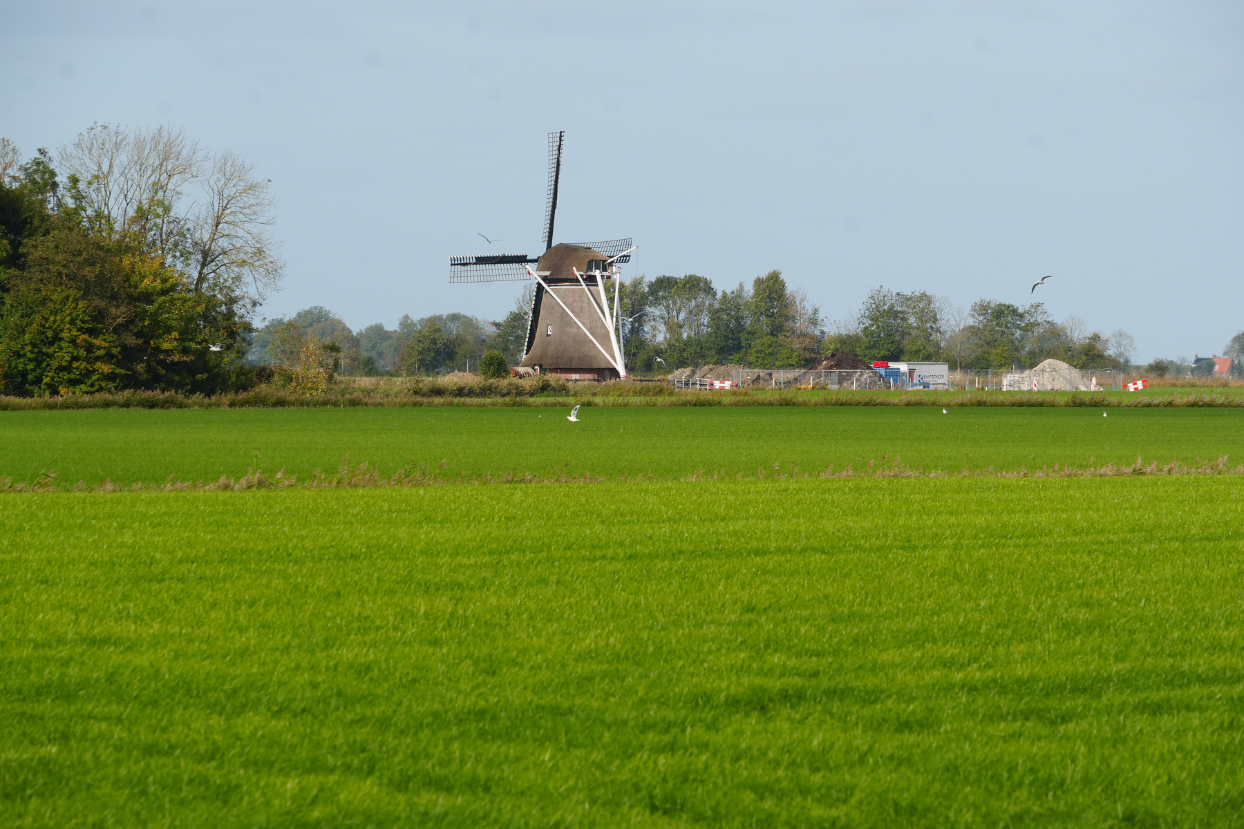 A traditional windmill stands in the middle of a green field with trees and a few buildings in the background under a clear sky.