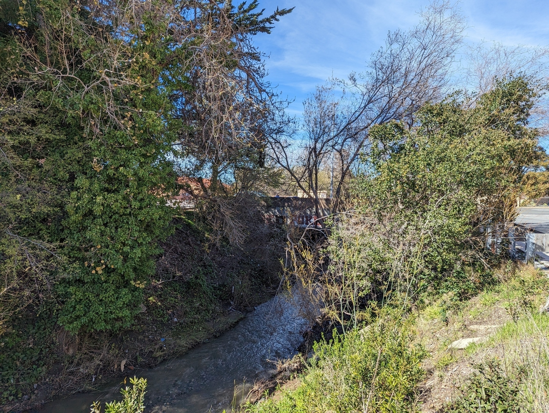 A view of the tree lined and mulch and greenery banked Wildcat Creek from the greenway trail Thursday, March 2, 2023 near Church Lane in San Pablo, California.