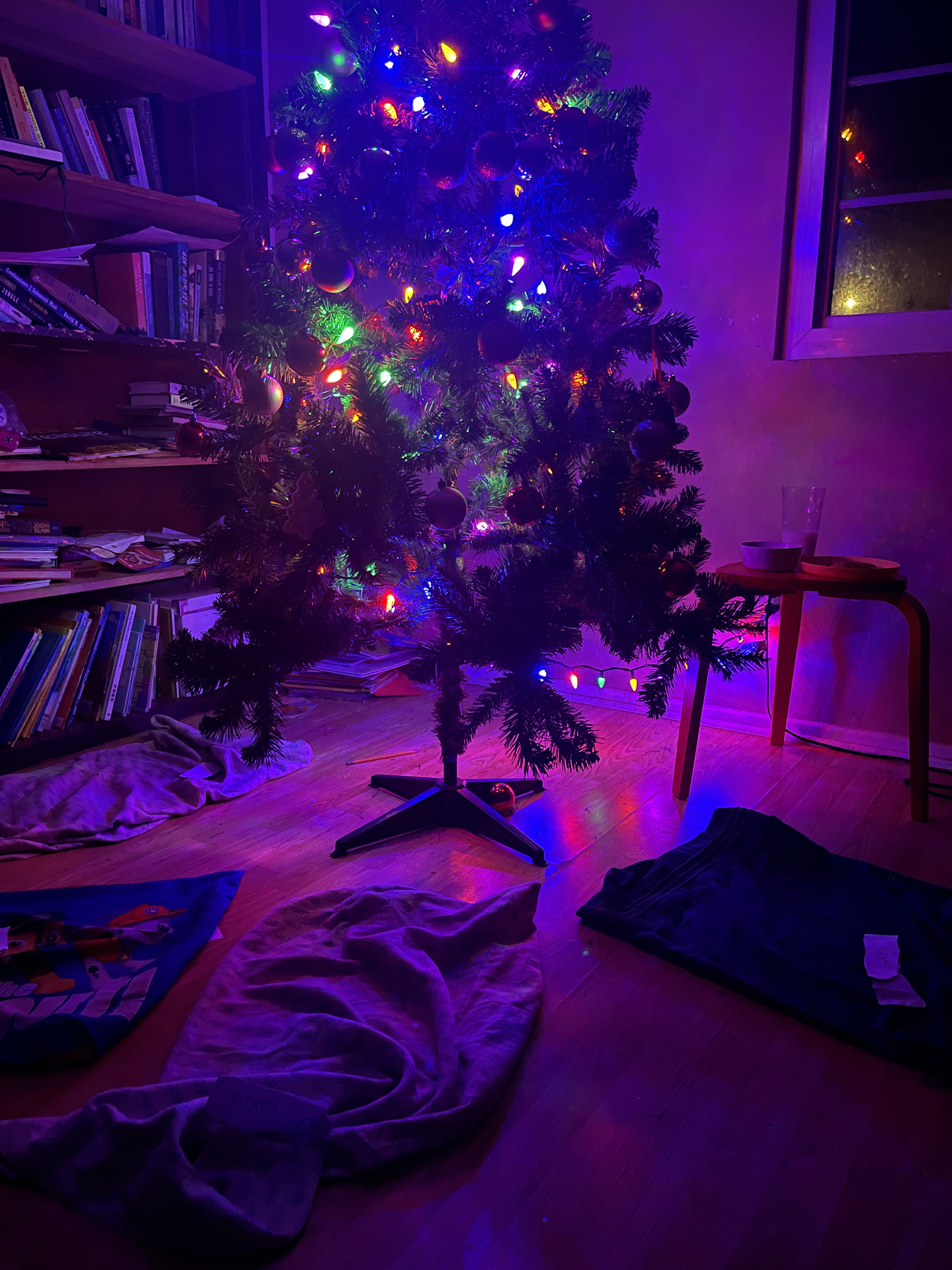 Christmas tree in the dark without any presents under the tree