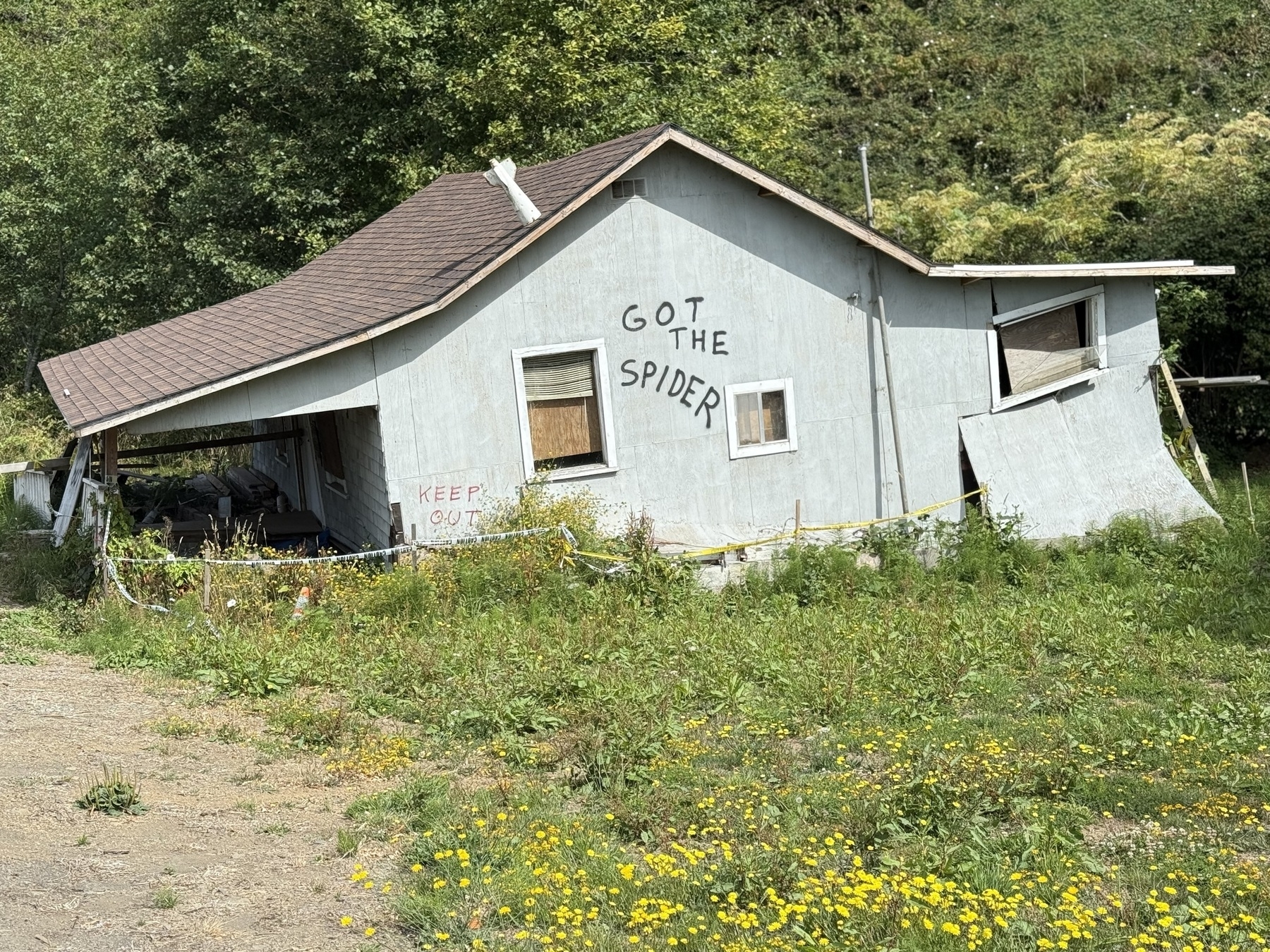 Photo of a broken down home that someone spray painted on the side: Got the spider.