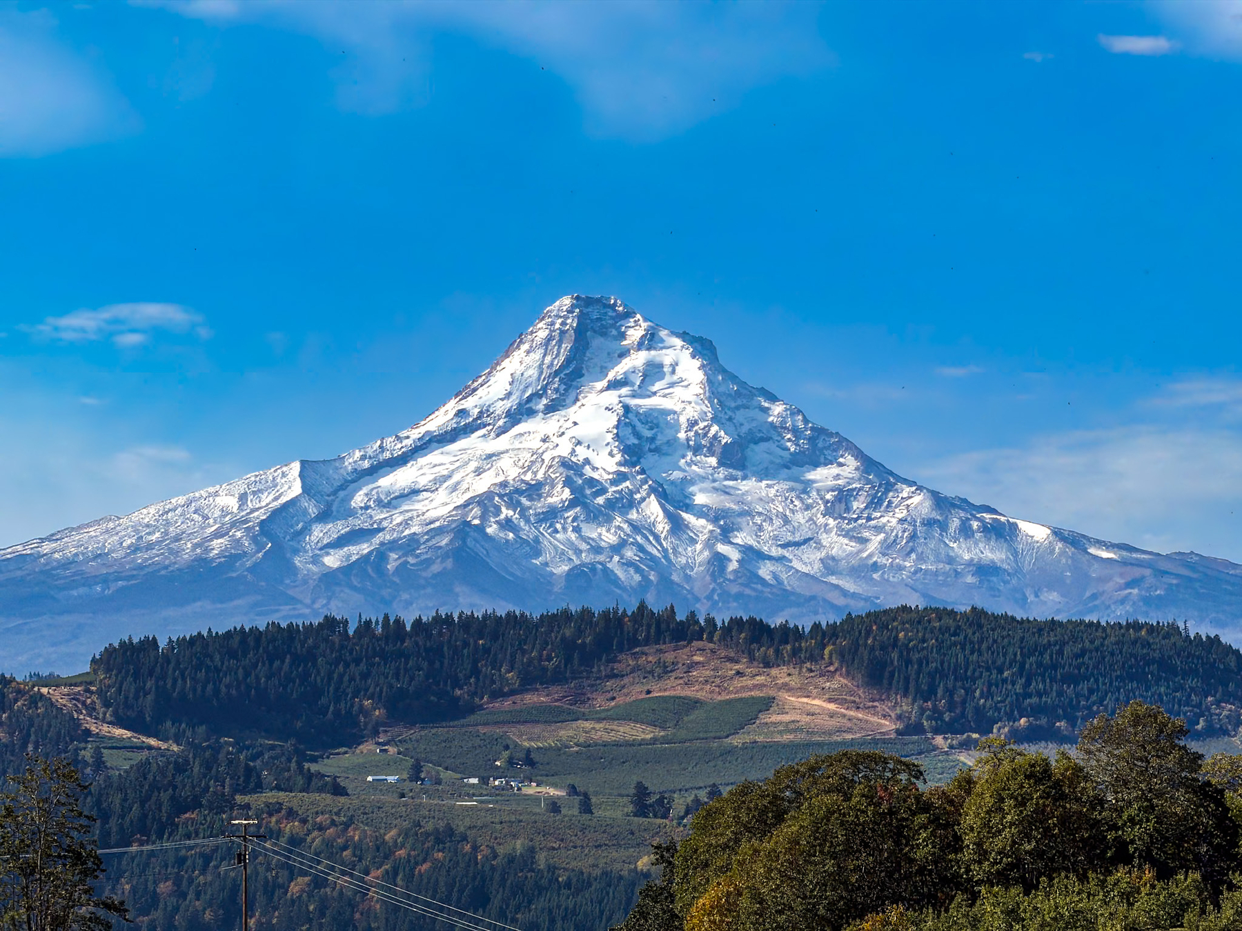 A majestic snow-capped mountain, Mt. Hood, rises above a forested landscape under a clear blue sky.