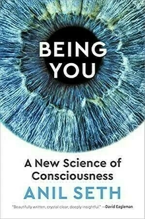 Book cover of Being You