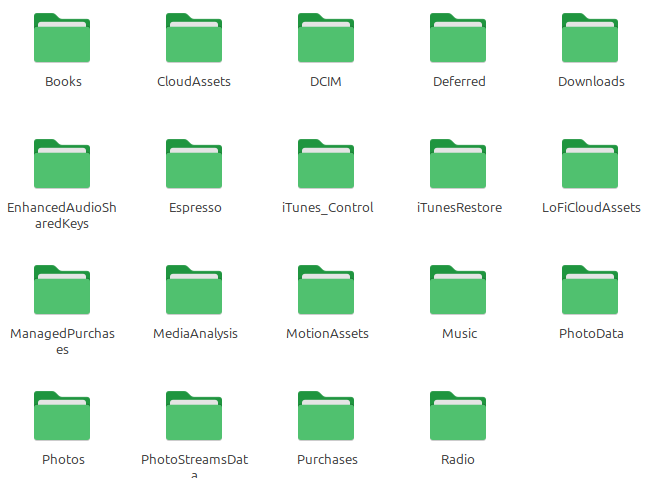 Auto-generated description: A collection of green folder icons labeled with names related to media, purchases, and system data is displayed on a digital interface.