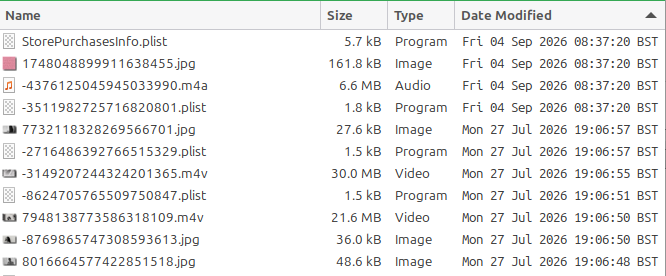 Auto-generated description: A file directory displays various files including images, videos, audio, and programs, with details on their names, sizes, types, and date modified.