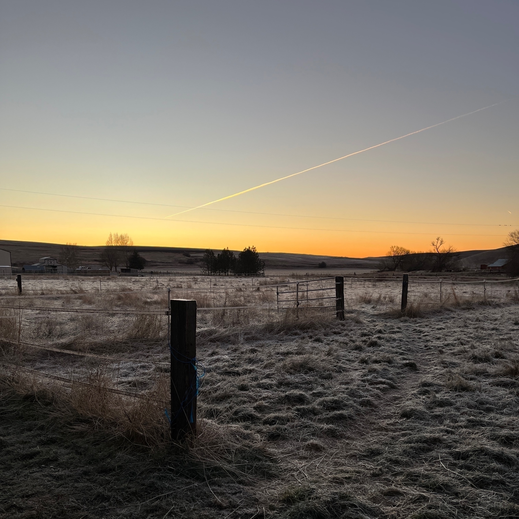 early morning landscape