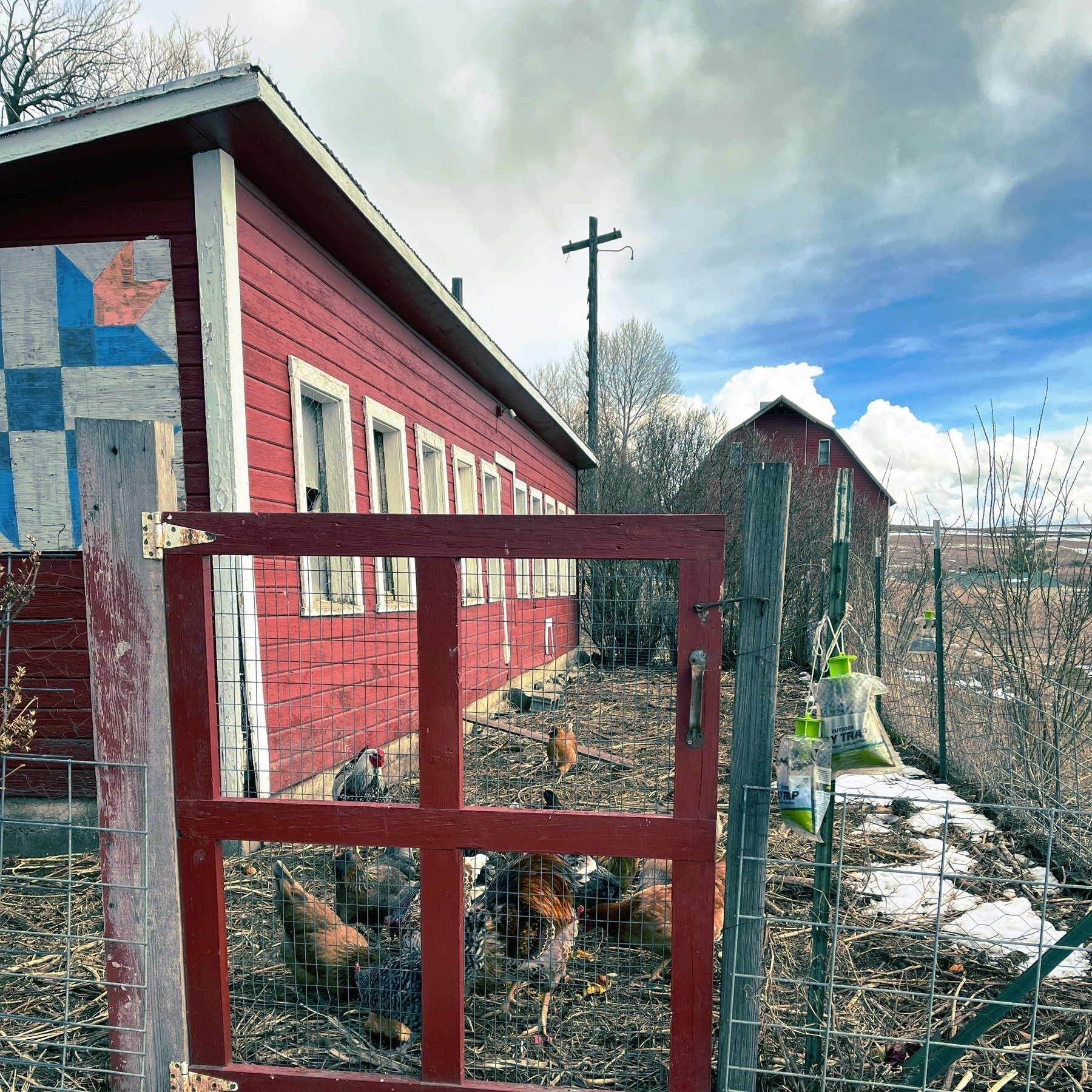 fence surrounding the chicken pen