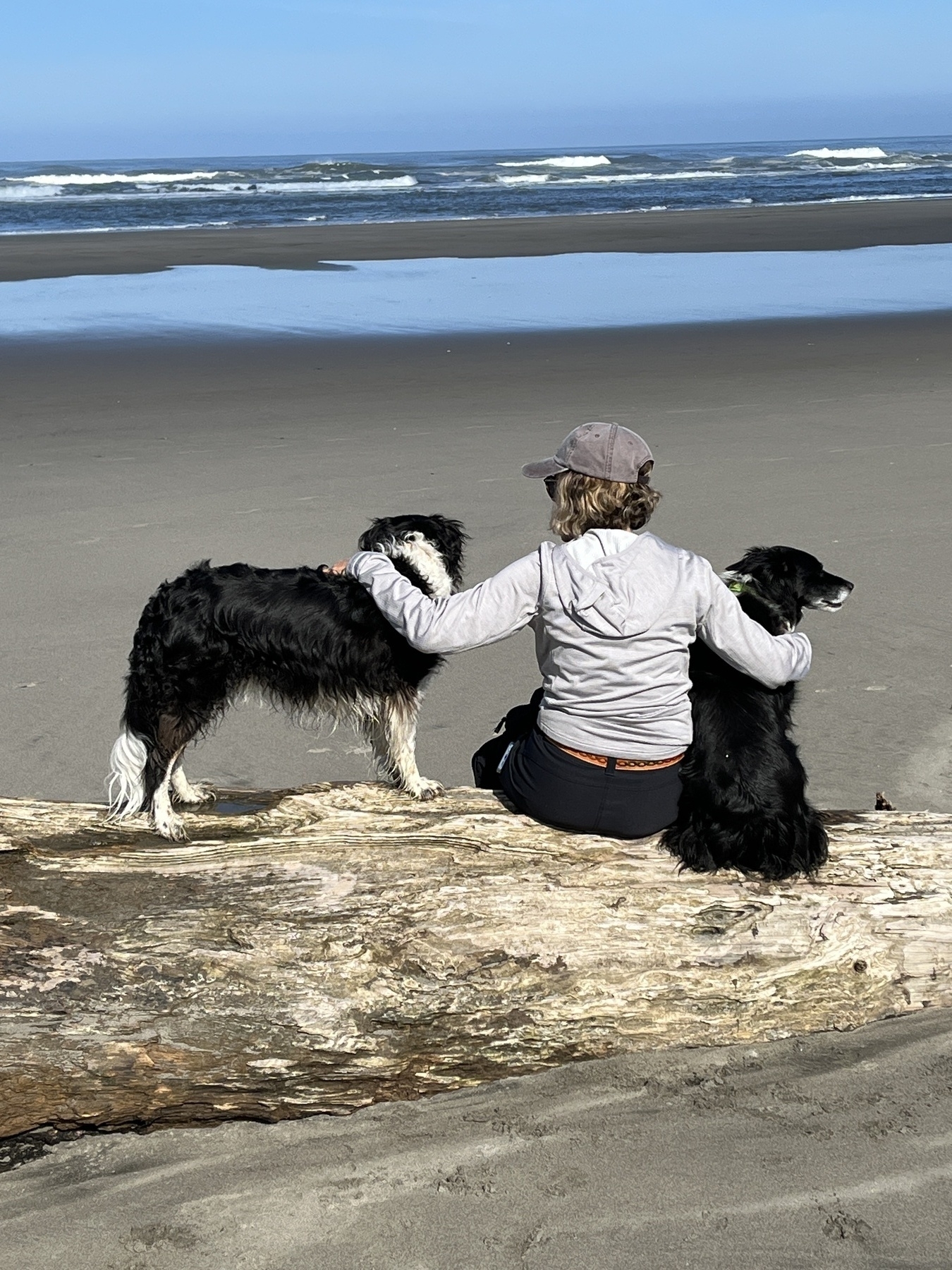Woman and dogs at the beach.